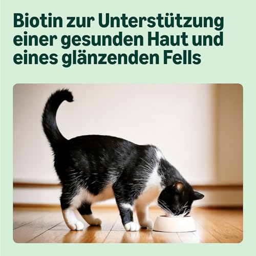 by Amazon Katzenfutter, nass, für ältere Katzen, Gemischte Auswahl in Gelee, 4.8kg (48 beutel mit 100g)