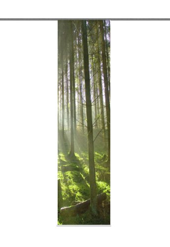 87332-768 Schiebevorhang Digitaldruck Göteborg, Deko, 245 x 60 cm, grün