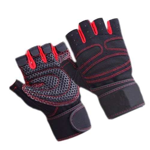 KIXZSAZ 1 yAtBbglX܏dʋ{fB[rGNTTCYoCN~g|[^uیANZT[j, bhS