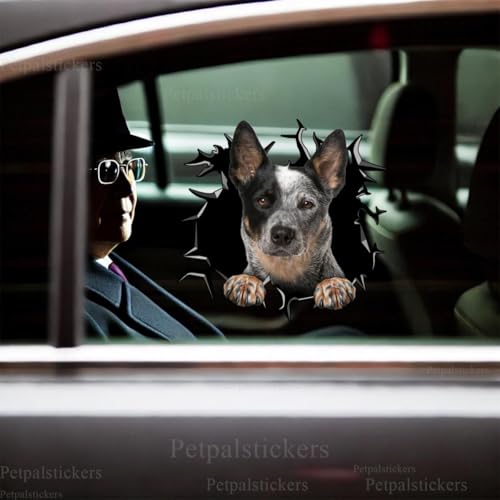 Image of Cute Dog Stickers for Car Window Decals Waterproof Funny Sticker (Australian Cattle Sticker)