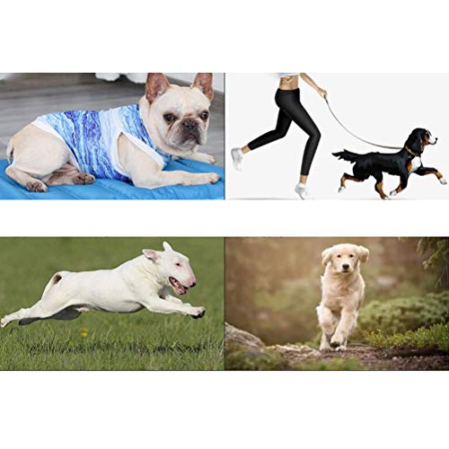 Pet Cooling Vest Cooling Vest for Dogs Jacket Dog Clothing Clothes Pet Garment Waistcoat Clothing Summer Jackets The Cat Summer Dress - Image 2