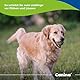 Canina 74132 8 Petvital Bio-Insect-Shocker, 500 ml