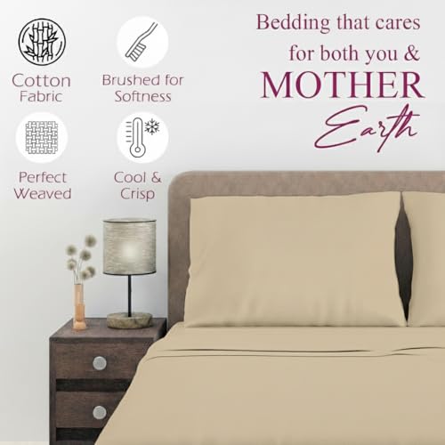 Image of Trance Home Linen Cotton Bedsheet | 144 Tc Thin Flat Bedsheet | Single Bed Sheet for Regular use with 1 Pillow Cover - Beige