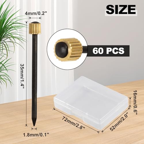 Image of SPEEDWOX 60 Pcs Picture Hangers Black Steel Nails and Brass Head Frame, Picture Hanging Nails for Hanging Picture Painting with Plastic Storage Box Holds Up to 5-30 lbs(Large)