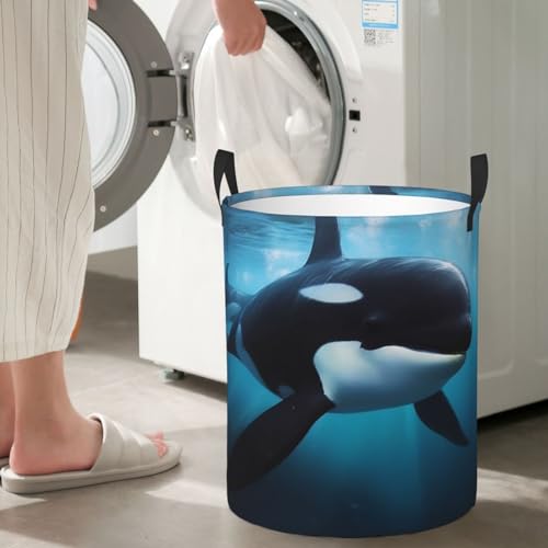 Panier à linge de rangement contre l'humidité des vêtements - 7