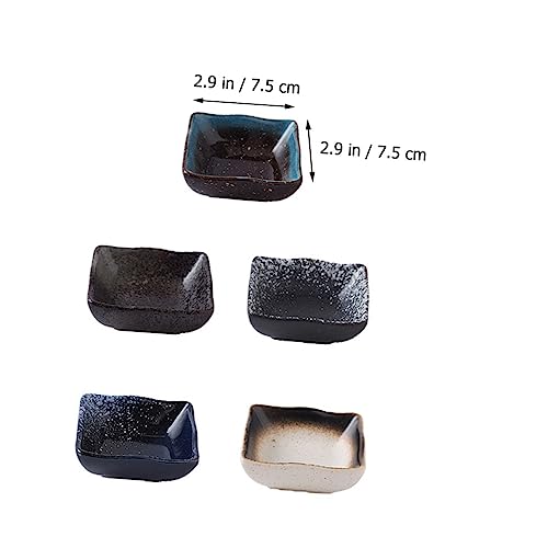 Set 5 platos de cerámica estilo japonés para sushi miniatura 7
