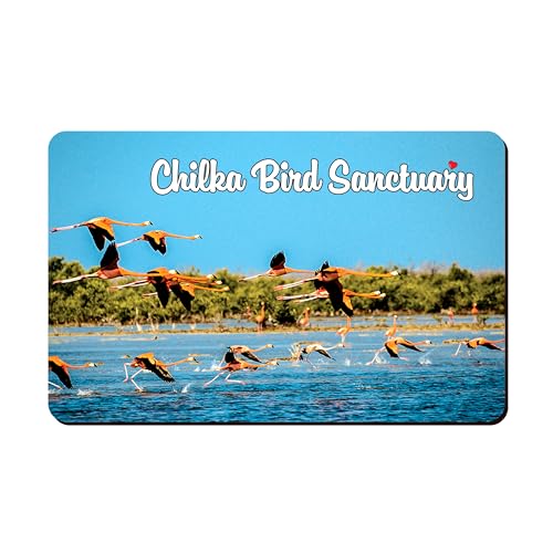 Image of Elegant Fridge Magnet with Themes |Rectangular Size Refrigerator Magnet with Magnetic Rubber Back | Pack of 1, 8.6cm X 5.4cm (Chilka Bird Sanctuary)