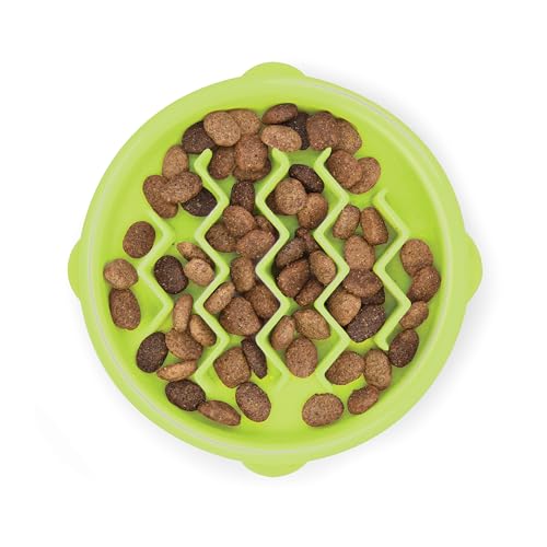 Catstages Kitty Slow Feeder Cat Bowl Green