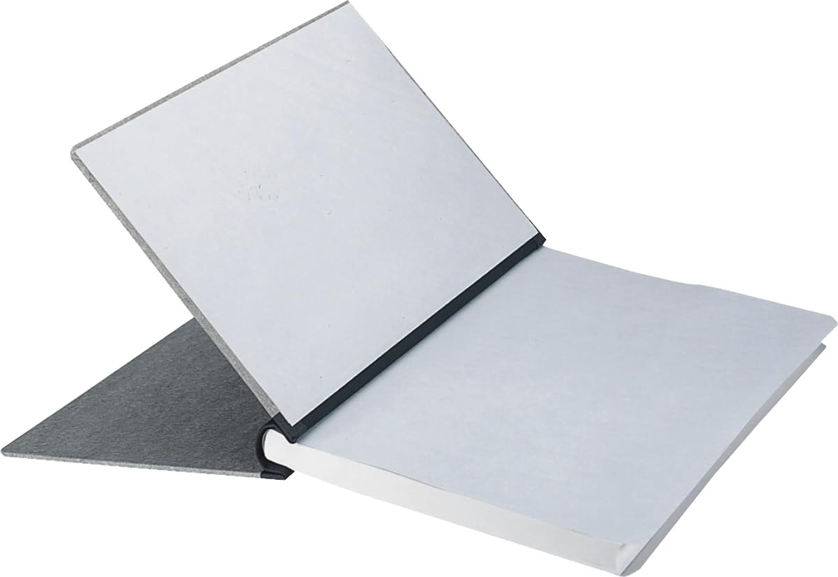 Leitz 39440085 - Raccoglitore a morsetto, formato A4, colore: Grigio