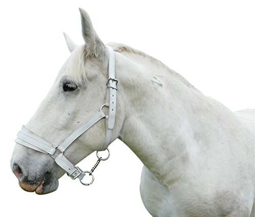 Passionnal - Licol Cuir Chromé - Cheval De Trait