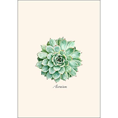 Image of Earth Sky + Water - Succulent Notecard Set - 8 Blank Cards with Envelopes