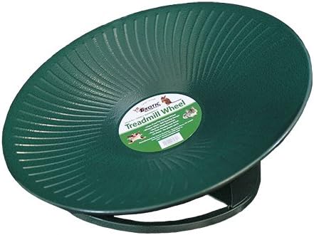 Exotic Nutrition Metal Flying Saucer Wheel - The Treadmill Wheel 11" Green