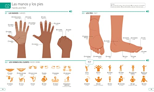 Spanish English Illustrated Dictionary: A Bilingual Visual Guide to Over 10,000 Spanish Words and Phrases - Image 4