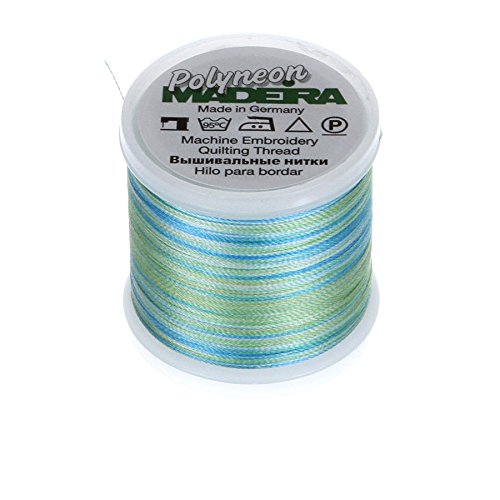 Madeira Variegated Amazone Polyneon No 41 Thread, 40Wt/135D 440 Yd,