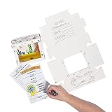 Fun Express Color Your Own Desk Pet Ocean Habitat with Adoption Certificates - VBS Vacation Bible School Supplies/Decor - 12 Pieces