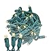 Novelty Lights, Inc. 50 LED Outdoor Party Christmas Mini Light Set, Warm White, Green Wire, 50 Light, 25' Long