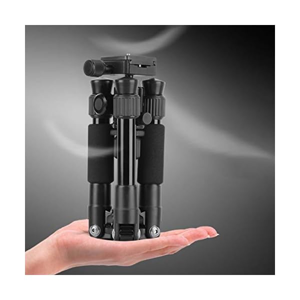 FEANG Portable Desktop Mini-Stativ, Leichter Kamerastrip mit 360 ° Panorama-Kugelkopf for Mobiltelefon, Kamera, ideal… – Bild 6