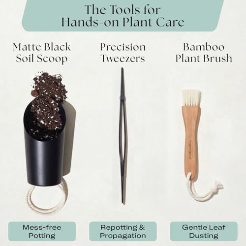 Image of Rosy Soil Plant Parent Essentials Gift Box, Indoor Plant Kit | Gift for Plant Lovers, Gardening Tool Kit, with Peat-Free Houseplant Soil, Terracotta Watering Bulb, Soil Scoop, Plant Brush