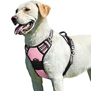 Eagloo Шлем за кучета за големи кучета, шлем за...