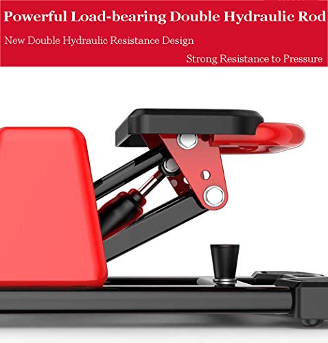 Stepper Fitness 2 in 1 Twister Stepper con