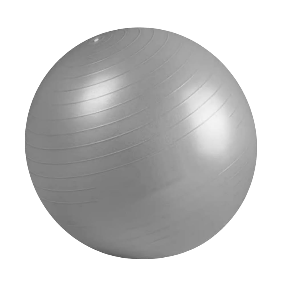 Erweicet Exercise Gym Ball Extra Thick Swiss Ball, with Quick Pump Birthing Ball for Yoga Pilates Fitness 55cm