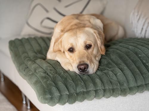 TrendPet Mora, gemütliche Hundematte mit extradicker Polsterung (110 x 70 cm)