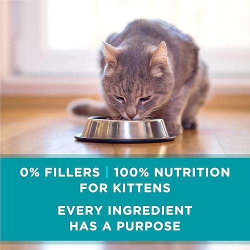 Purina ONE Grain Free, Natural Pate Wet Kitten Food, Healthy Kitten Chicken & Salmon Recipe - (Pack of 48) 3 oz. Pull-Top Cans - image 7