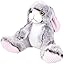 Grey Rabbit