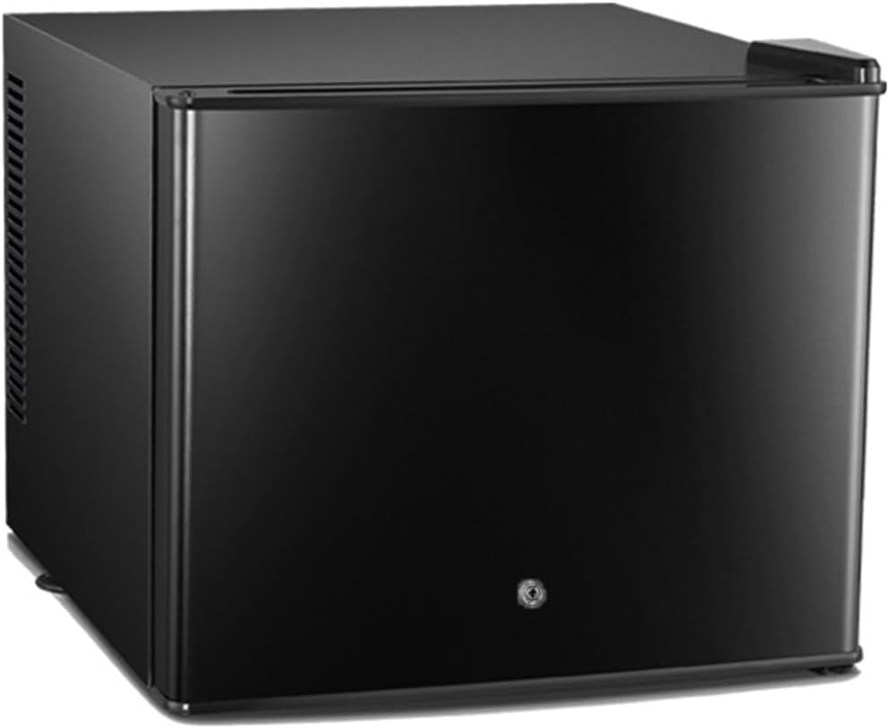 GIZNXBA Skincare Fridge Black, Mini Fridge Skincare, Single Door Compact Refrigerator, Energy Saving, Mini Refrigerator Adjustable Thermostat, Mini Fridge for Bedroom, Dorm, Office(Color:/Black -30L)