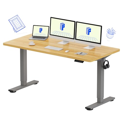 FLEXISPOT EN1 One-Piece Adjustable Stand Up Workstation 60 x 24