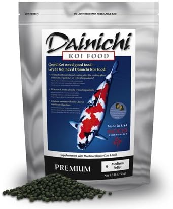 healthy boston terrier