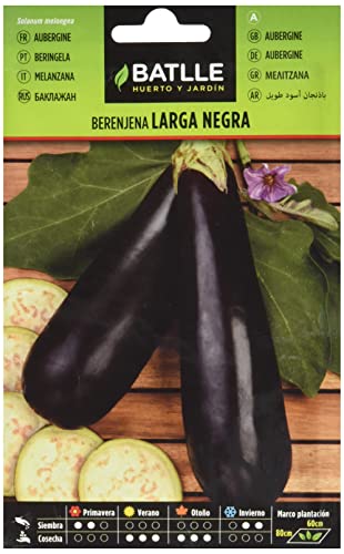 Semillas Batlle – Aubergine Grande Aubergine Noire