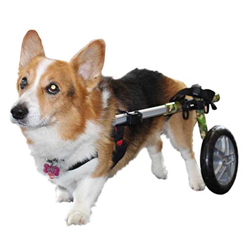 Walkin' Wheels Corgi Wheelchair - for Small Dogs 18-39 lbs - Veterinarian Approved