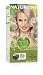Naturtint Permanent Light Ash Blonde 10A 5.28 Ounces