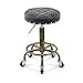 Regulowany Retro Stołek Salon Profesjonalne Fryzjerstwo Hair Beauty Rolling Work Chair Stołek Hydrauliczny z Podnóżkiem Manicure Tatuaż Okrągłe Siedzenie na Kółkach, Szary