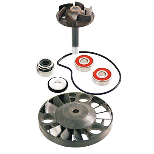 Kit revisione pompa acqua Piaggio Beverly 125-200cc 2001/2003 100110070