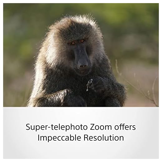 Sony 200-600mm Super-Telephoto Zoom Lens