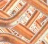 Lot de 2 x 10 = 20 détentes PUTANGE - Lot de 2 x 10 = 20 détentes pour piège à Taupe de Type