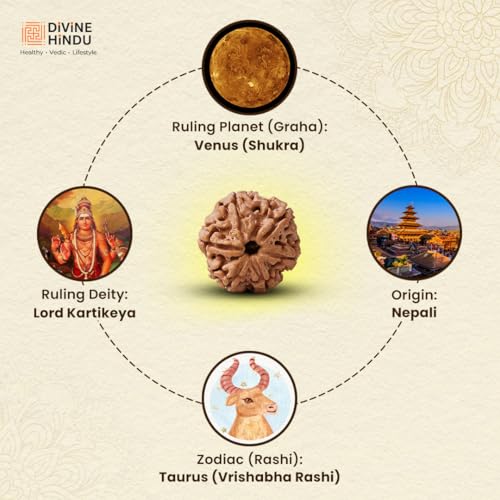 Image of Divine Hindu Original 6 Mukhi (Six Face) Indonesia Rudraksha | Chhe Mukhi Rudraksh Bead for Meditation, Protection & Spiritual Growth | Natural Rudraksha for Men & Women | Prayer Bead for Success
