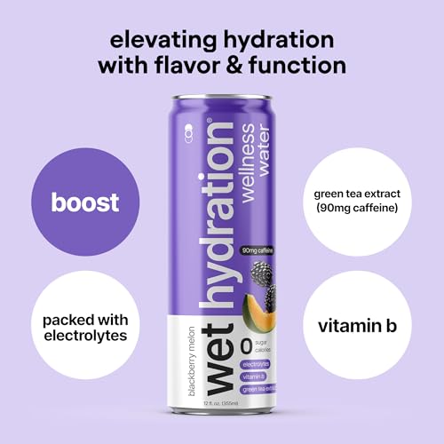 Image of Wet Hydration | Functional Wellness Water, Non-Carbonated - Blackberry Melon (12 Ounce Cans, Pack of 12) - Flavored Water, Hydration Drink, No Sugar, No Artificial Ingredients, Zero Calories (Packaging May Vary)