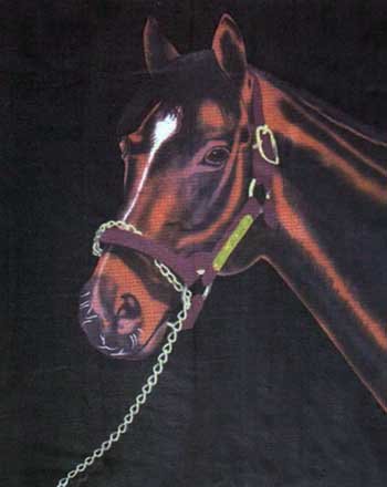 Int Horse Portrait Polar Fleece Throw Blanket 50x60
