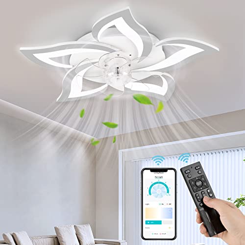 NACATIN Ceiling Fans with Lights and Remote, 64CM Quiet LED Modern Acrylic Ceiling Fan Light with Stepless Dimming Adjustable Wind Speed, Ideal for Bedroom, Living Room, Kitchen (White)