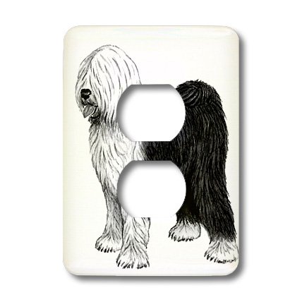 Couverture de prise 2 prises pour changer vos plaques electriques ternes