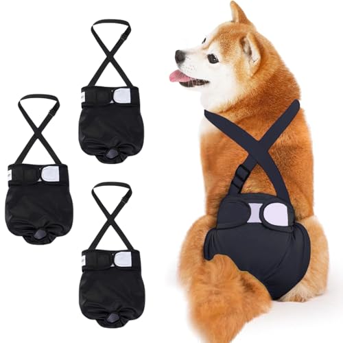 Duscdesp 3 Stück Wiederverwendbare Hundewindeln mit Abnehmbare Träger, Hochsaugfähige Läufigkeitshose Waschbare Hundehöschen Läufigkeit Höschen für Hunde Weiblich, Hunde Windeln für Hündinnen (M)