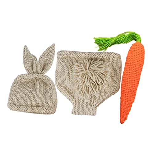 Ipetboom 1ZbgVptHgvbvX 킢ETMRX`[ X