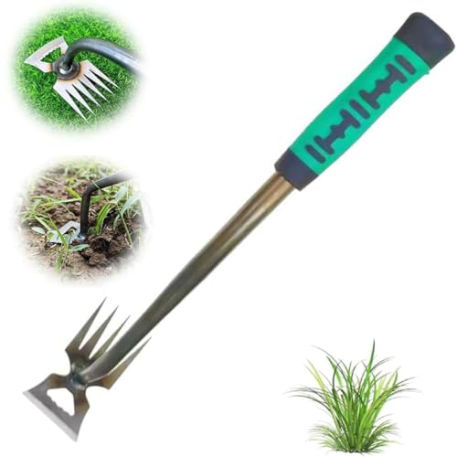 Herramienta de extracción de malas hierbas para jardín, herramien...