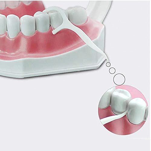 Fil Dentaire 120 pièces, Cure-Dents portatifs de Fil Dentaire, Fil d'élimination des Taches de Dents, bâton de Fil Dentaire jetable, Outil de Soins bucco-dentaires