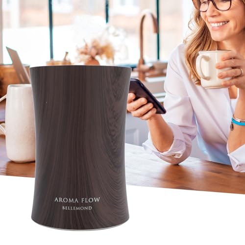 Difusor aromático eléctrico portátil sin agua con carga USB miniatura 2