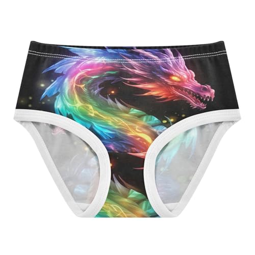 Color Flame Dragon Toddler Girls's Underwear 2T 202a0540