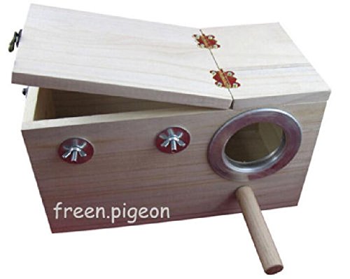 Boîte d'élevage calopsitte perroquet et niche oiseau bois M